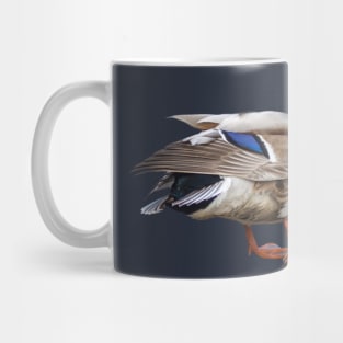 The Mallard or wild duck Mug